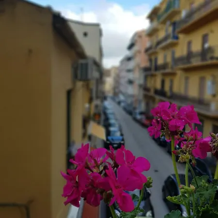 Gocce Di Girgenti - Comfort